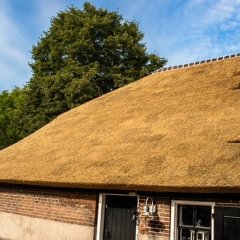 rietendak rietdekker hei- en boeicop