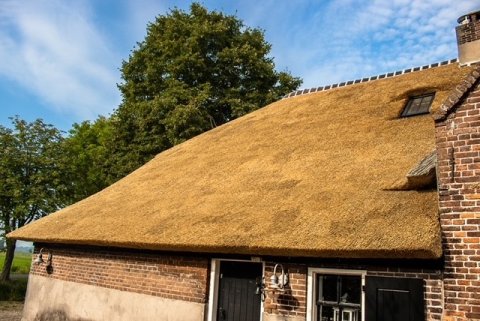 rietendak rietdekker hei- en boeicop