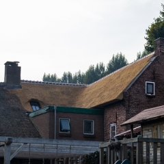 anne schipper leerdam