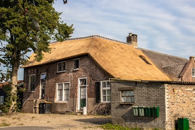 anne schipper rietdekkersbedrijf passie voor ambacht