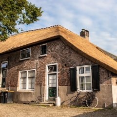 Hei- en Boeicop riet dak natuurlijk